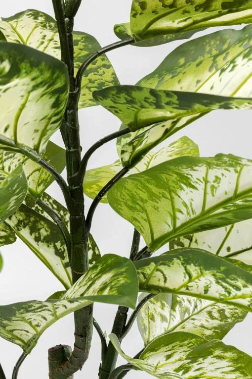 KARE Design Pianta decorativa Dieffenbachie 100cm - KARE> Piante Artificiali