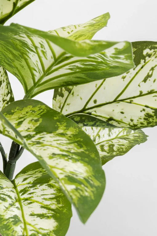 KARE Design Pianta decorativa Dieffenbachie 100cm - KARE> Piante Artificiali