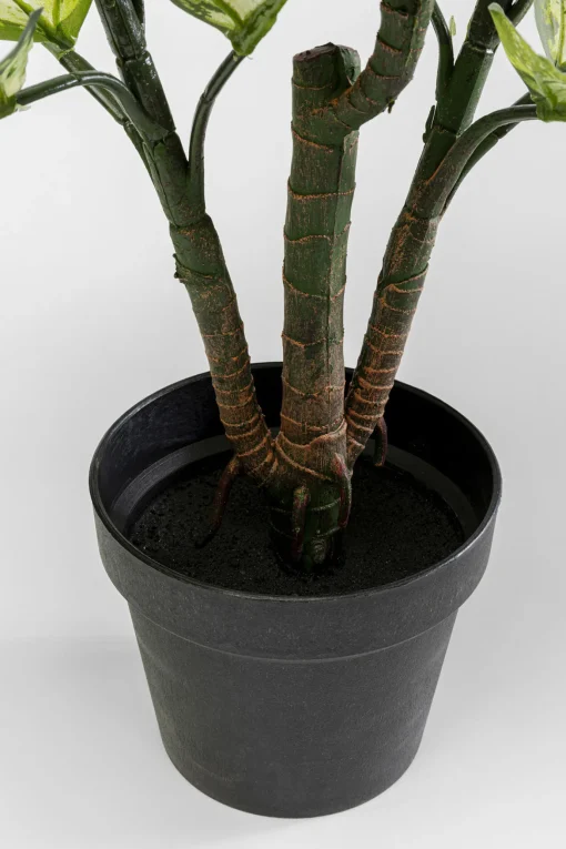 KARE Design Pianta decorativa Dieffenbachie 100cm - KARE> Piante Artificiali