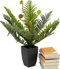 KARE Design Pianta decorativa Farn 55cm - KARE> Piante Artificiali