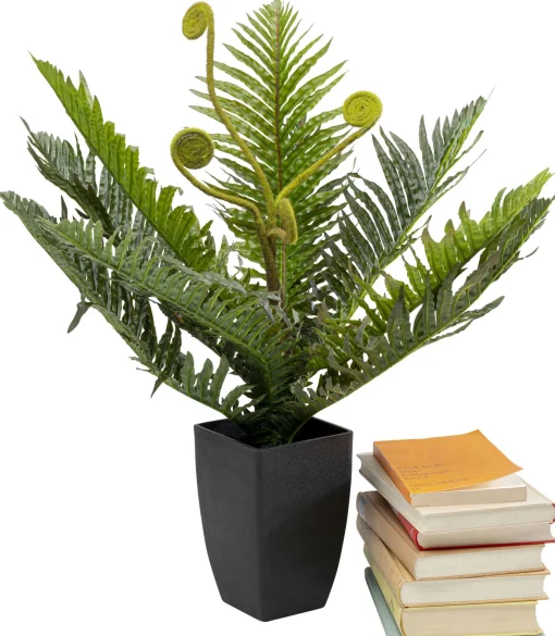 KARE Design Pianta decorativa Farn 55cm - KARE> Piante Artificiali