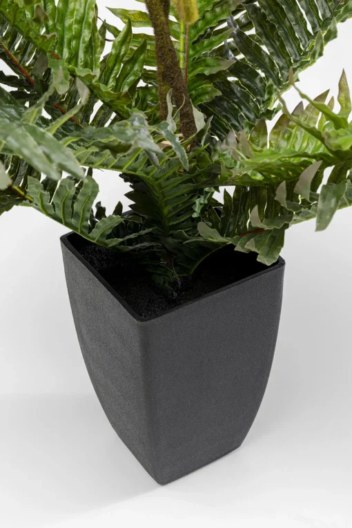 KARE Design Pianta decorativa Farn 55cm - KARE> Piante Artificiali