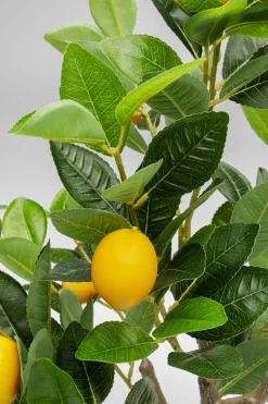 KARE Design Pianta decorativa Lemon Tree 60cm - KARE> Piante Artificiali