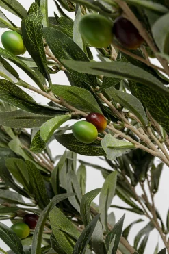 KARE Design Pianta decorativa Olive Tree 120cm - KARE> Piante Artificiali
