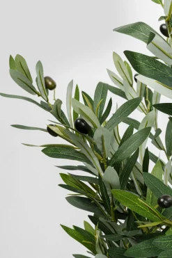 KARE Design Pianta decorativa olivo 150cm - KARE> Piante Artificiali