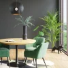 KARE Design Pianta Decorativa Palm Tree 190cm - KARE> Piante Artificiali