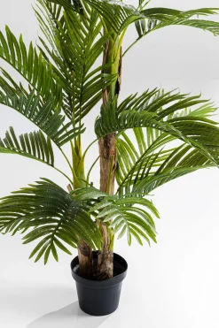 KARE Design Pianta Decorativa Palm Tree 190cm - KARE></noscript> Piante Artificiali