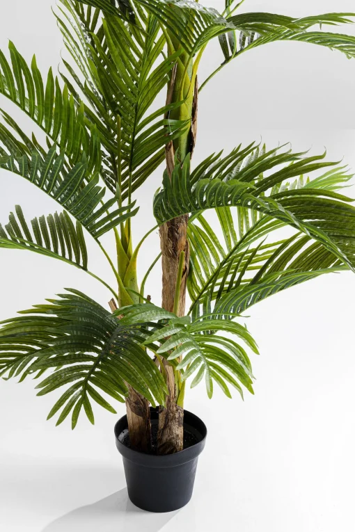 KARE Design Pianta Decorativa Palm Tree 190cm - KARE> Piante Artificiali