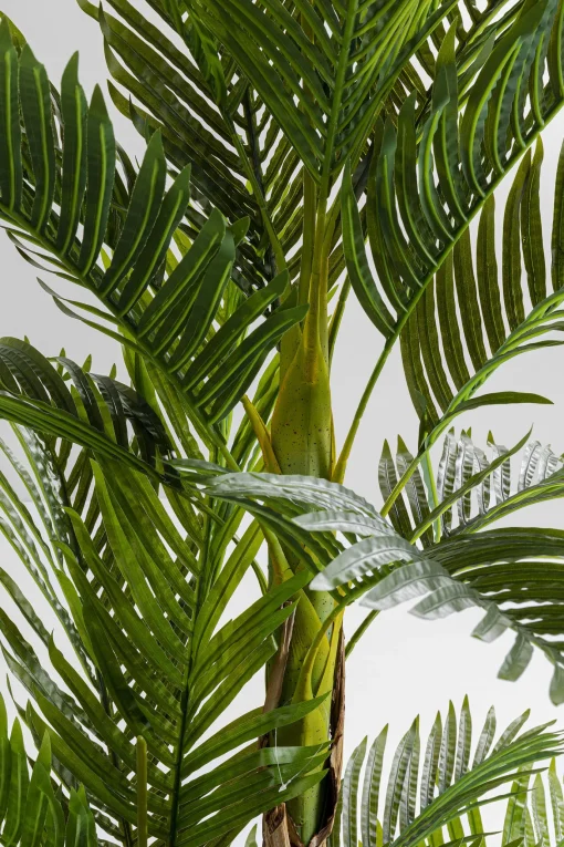 KARE Design Pianta Decorativa Palm Tree 190cm - KARE> Piante Artificiali