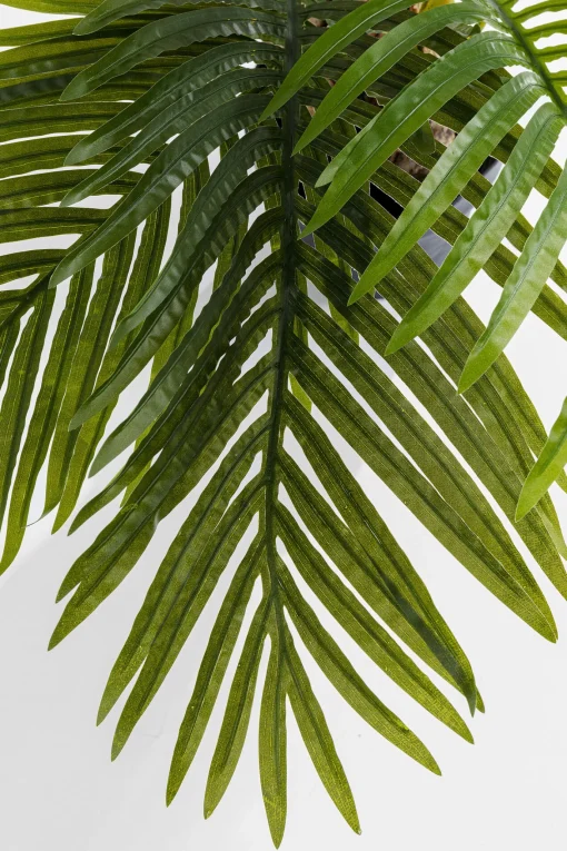 KARE Design Pianta Decorativa Palm Tree 190cm - KARE> Piante Artificiali