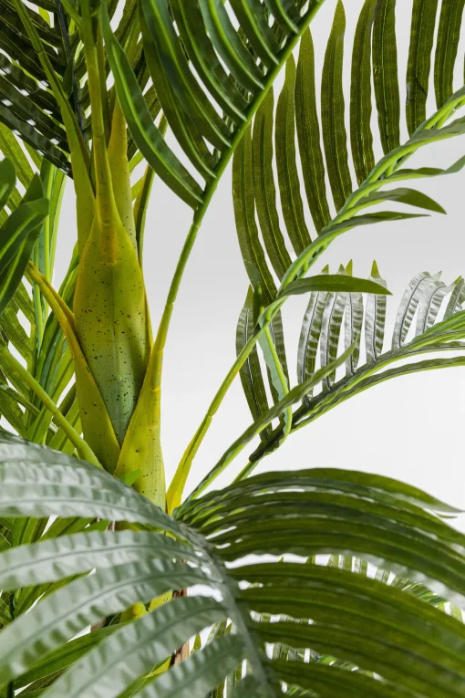 KARE Design Pianta Decorativa Palm Tree 190cm - KARE> Piante Artificiali