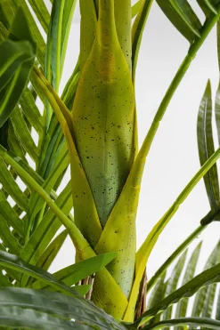 KARE Design Pianta Decorativa Palm Tree 190cm - KARE></noscript> Piante Artificiali