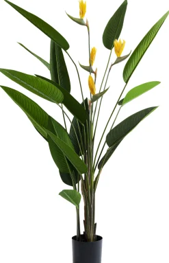 KARE Design Pianta Decorativa Paradise Flowers 190cm - KARE> Piante Artificiali