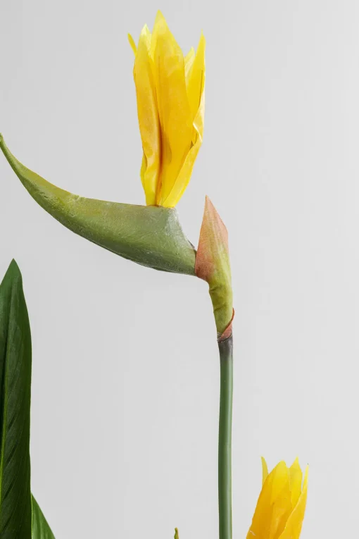 KARE Design Pianta Decorativa Paradise Flowers 190cm - KARE> Piante Artificiali
