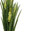KARE Design Pianta decorativa Rhynchostylis 150cm - KARE> Piante Artificiali
