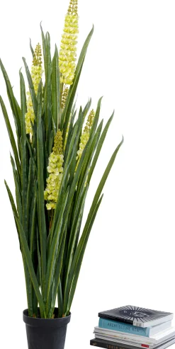 KARE Design Pianta decorativa Rhynchostylis 150cm - KARE> Piante Artificiali