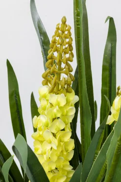 KARE Design Pianta decorativa Rhynchostylis 150cm - KARE> Piante Artificiali