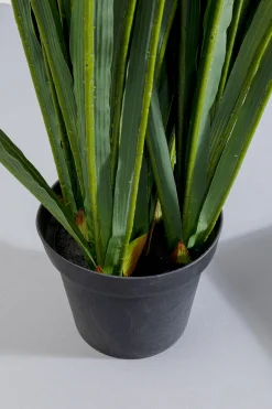 KARE Design Pianta decorativa Rhynchostylis 150cm - KARE></noscript> Piante Artificiali