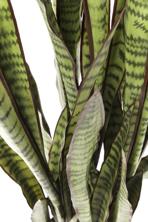 KARE Design PIANTA DECORATIVA SANSEWIERIA 155CM - KARE> Piante Artificiali
