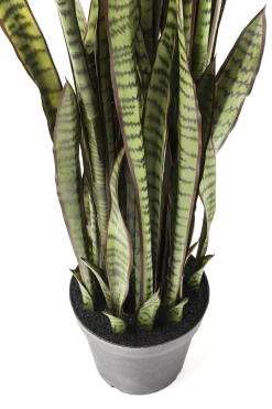 KARE Design PIANTA DECORATIVA SANSEWIERIA 155CM - KARE></noscript> Piante Artificiali