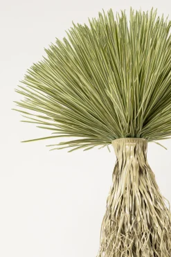 KARE Design Pianta decorativa Yucca Rostrata 240cm - KARE> Piante Artificiali