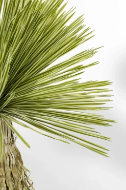 KARE Design Pianta decorativa Yucca Rostrata 180cm - KARE> Piante Artificiali