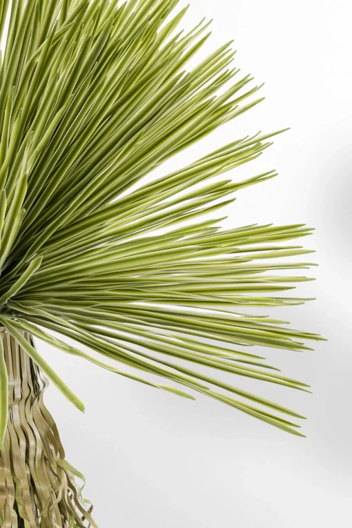KARE Design Pianta decorativa Yucca Rostrata 180cm - KARE> Piante Artificiali