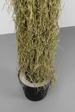 KARE Design Pianta decorativa Yucca Rostrata 180cm - KARE> Piante Artificiali