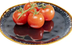 KARE Design Piatto Lio blu scuro Ø26cm - KARE> Stoviglie|Piatto