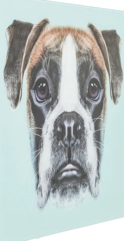 KARE Design PICTURE GLASS DOG FACE 60X60CM - KARE> Quadri
