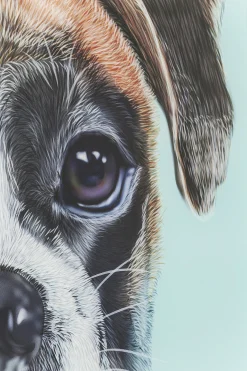 KARE Design PICTURE GLASS DOG FACE 60X60CM - KARE> Quadri