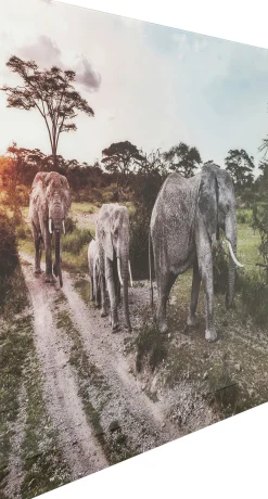 KARE Design PICTURE GLASS ELEFANT FAMILY 160X120CM - KARE> Quadri