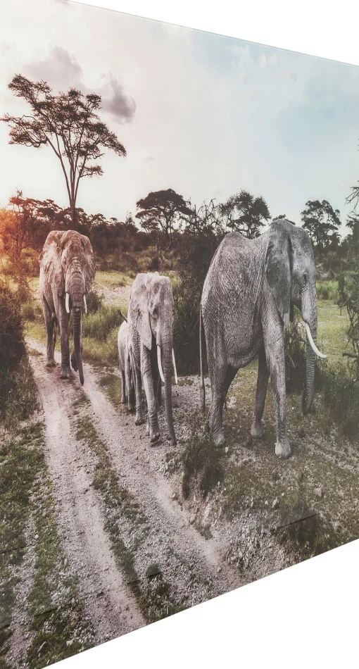 KARE Design PICTURE GLASS ELEFANT FAMILY 160X120CM - KARE> Quadri