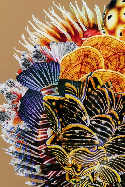 KARE Design Quadro incorniciato Flower Hair 120x120cm - KARE> Quadri