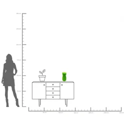 KARE Design Vaso Ananas Verde 30cm - KARE> Vasi