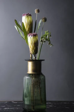 KARE Design VASO BARFLY VERDE 30CM - KARE></noscript> Vasi