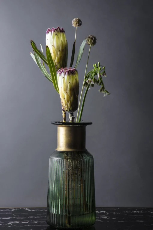 KARE Design VASO BARFLY VERDE 30CM - KARE> Vasi