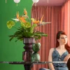 KARE Design Vaso Duetto verde 25cm - KARE> Vasi