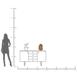 KARE Design Vaso Jungle 33cm - KARE> Vasi