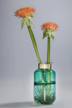 KARE Design VASO POSITANO BELLY VERDE 28CM - KARE> Vasi