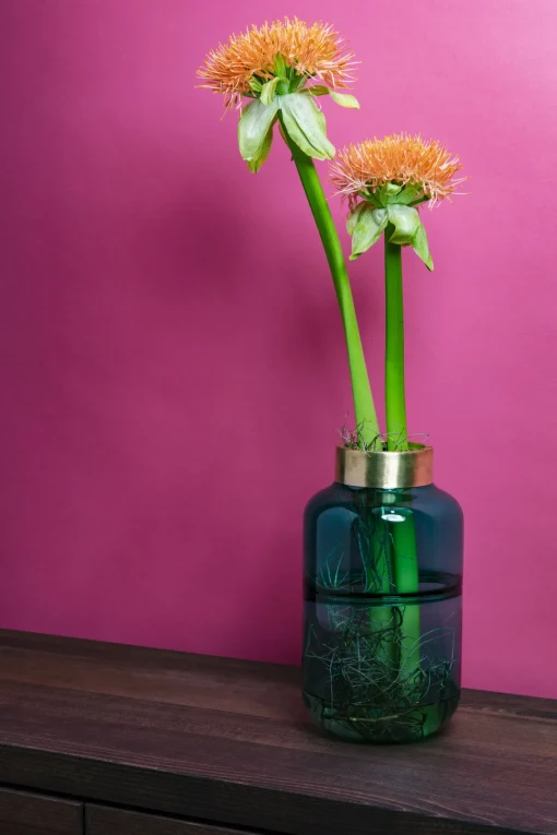 KARE Design VASO POSITANO BELLY VERDE 28CM - KARE> Vasi